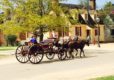 Horse & Wagon in Williamsburg, Virginia